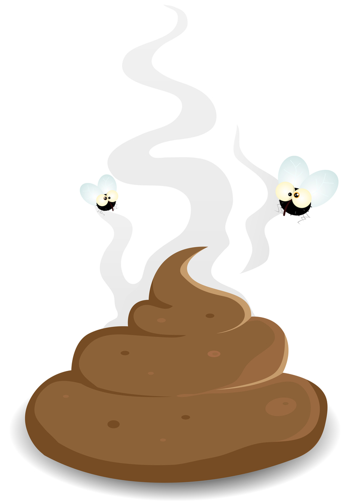 Overseen: Pooped in Pupin – Bwog