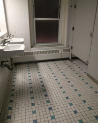 The bathrooms seem cleanish