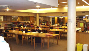 Library Review: Avery Library – Bwog