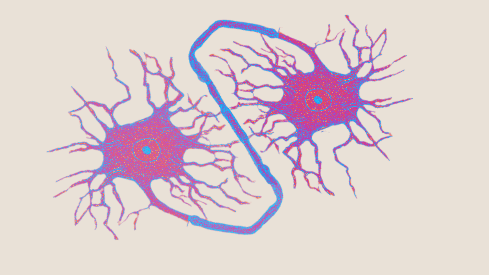 Major Spotlight Neuroscience Behavior Bwog Major Spotlight Neuroscience Behavior Bwog